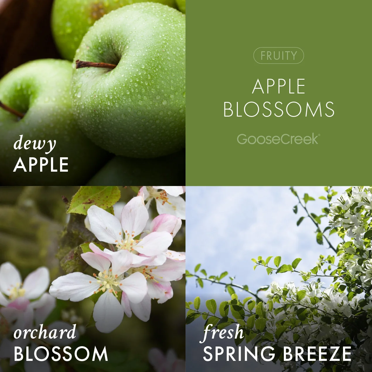 Apple Blossoms Lush Foaming Hand Soap - Image 2