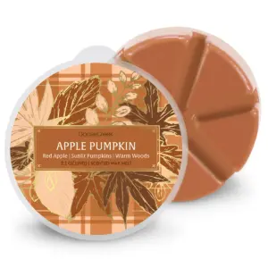 Apple Pumpkin Wax Melt