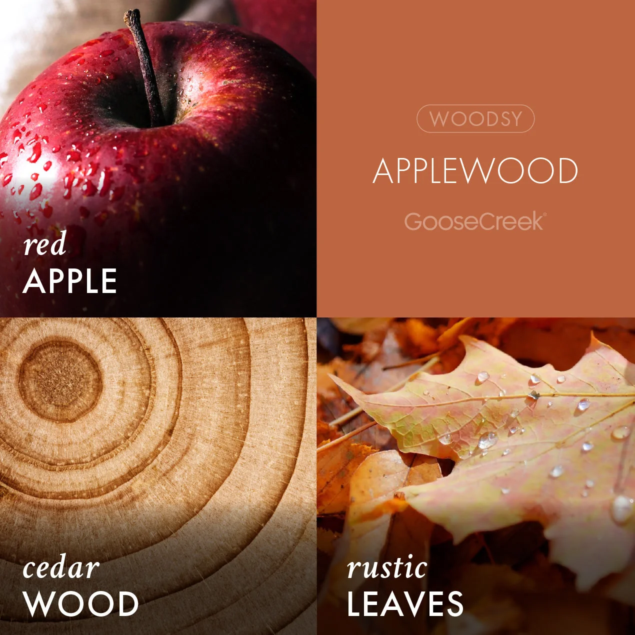 Applewood 3-Wick Candle - Image 2