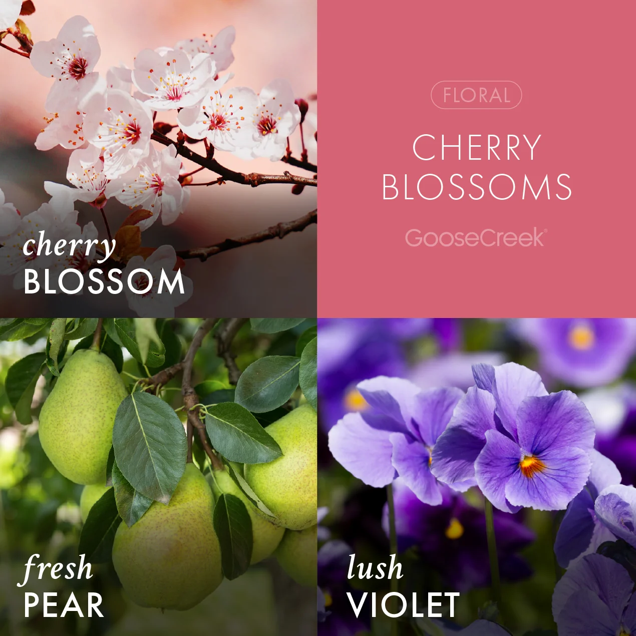 Cherry Blossom Lush Foaming Hand Soap - Image 2