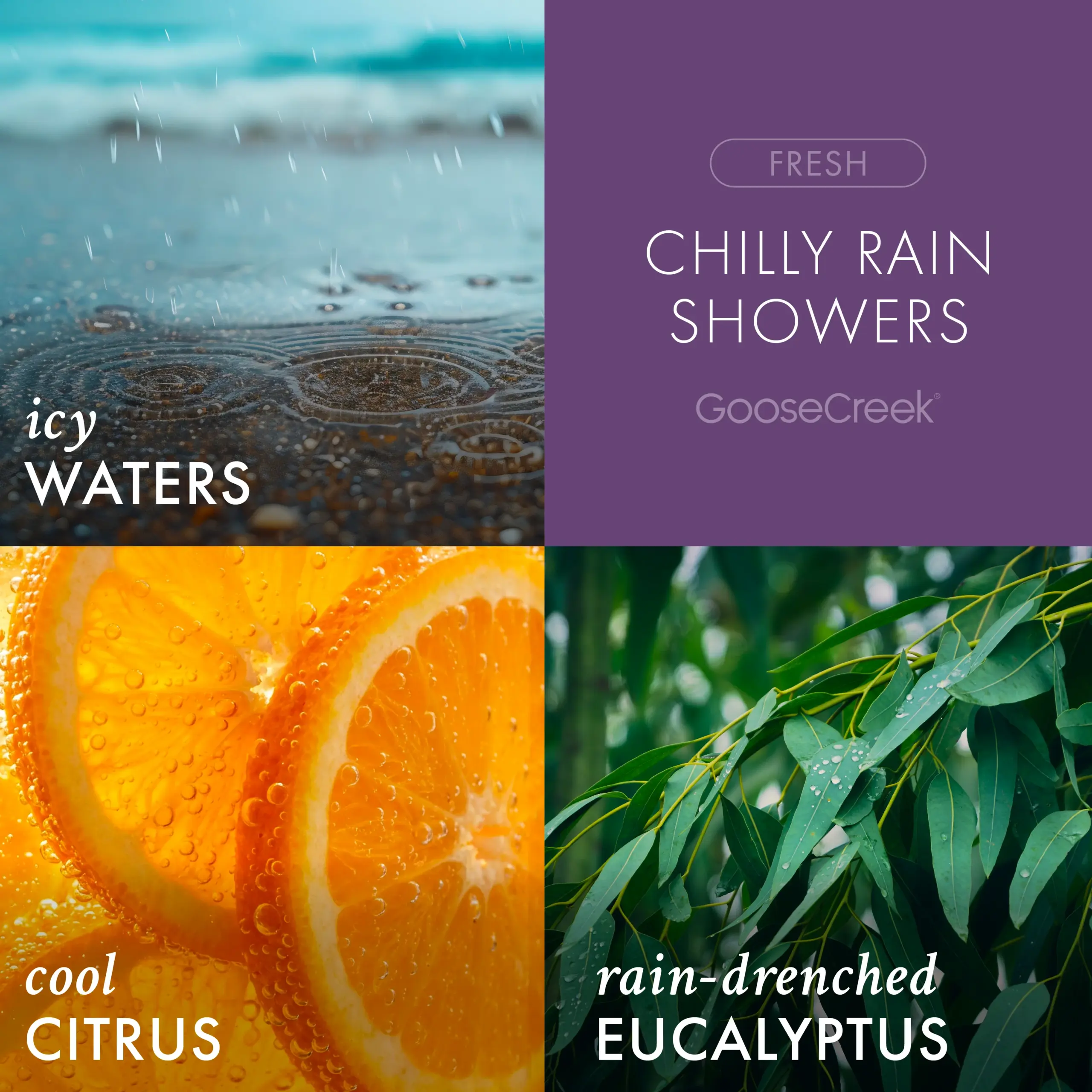 Chilly Rain Showers Odor Eliminating 7oz Single Wick Candle - Image 2