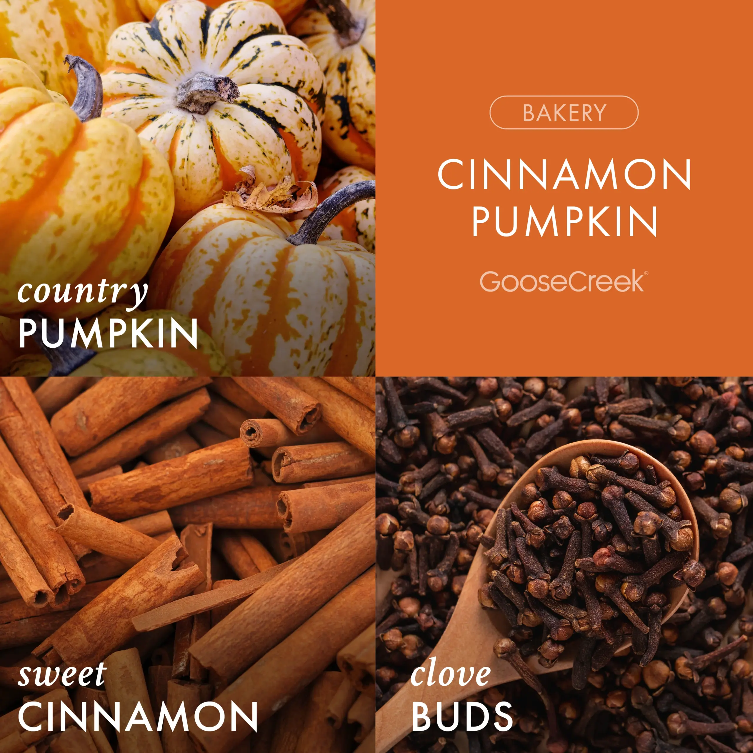 Cinnamon Pumpkin Wax Melt - Image 2