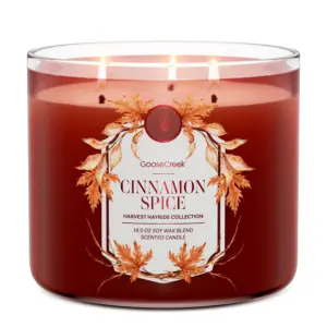 Cinnamon Spice 3-Wick Candle