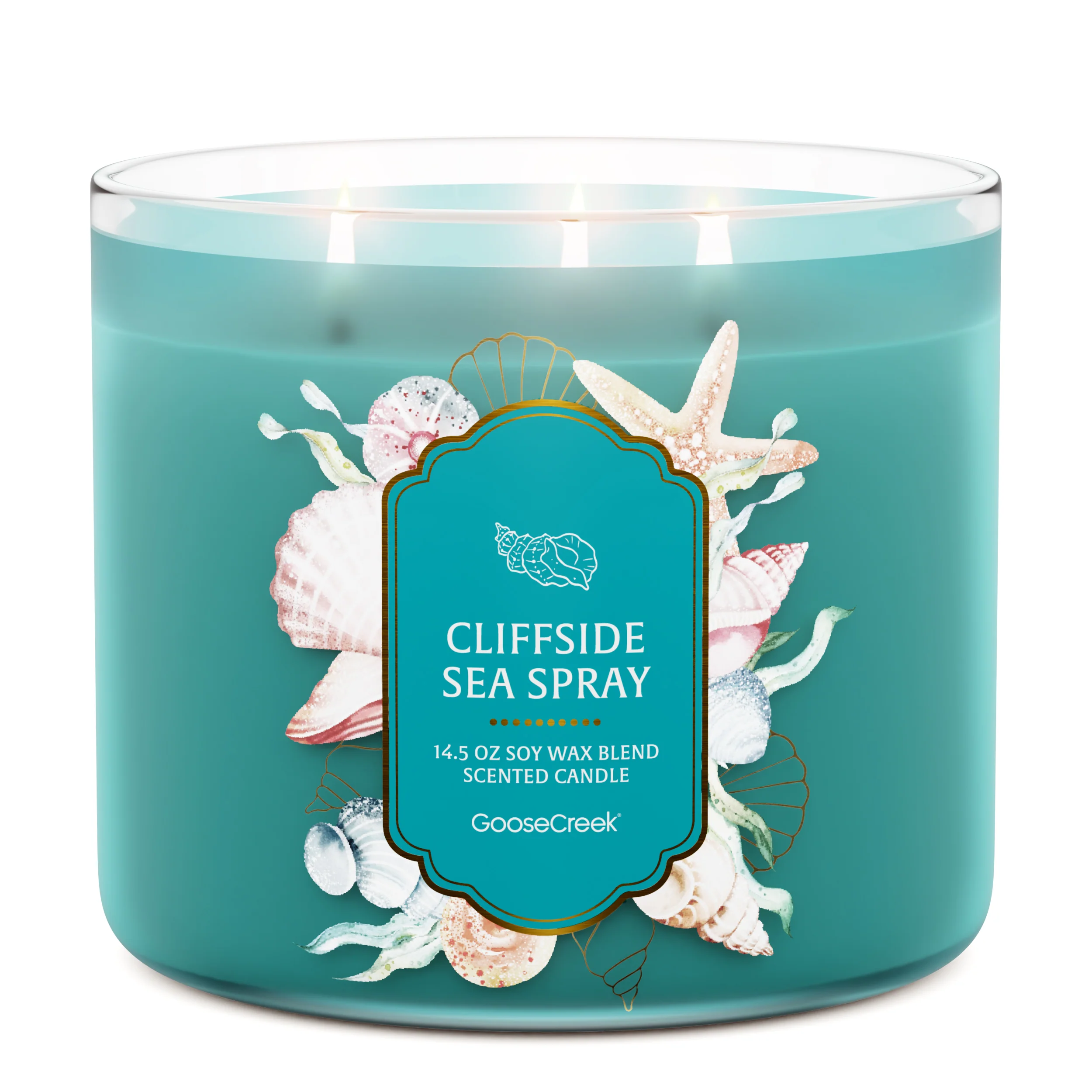 Cliffside Sea Spray 3-Wick Candle
