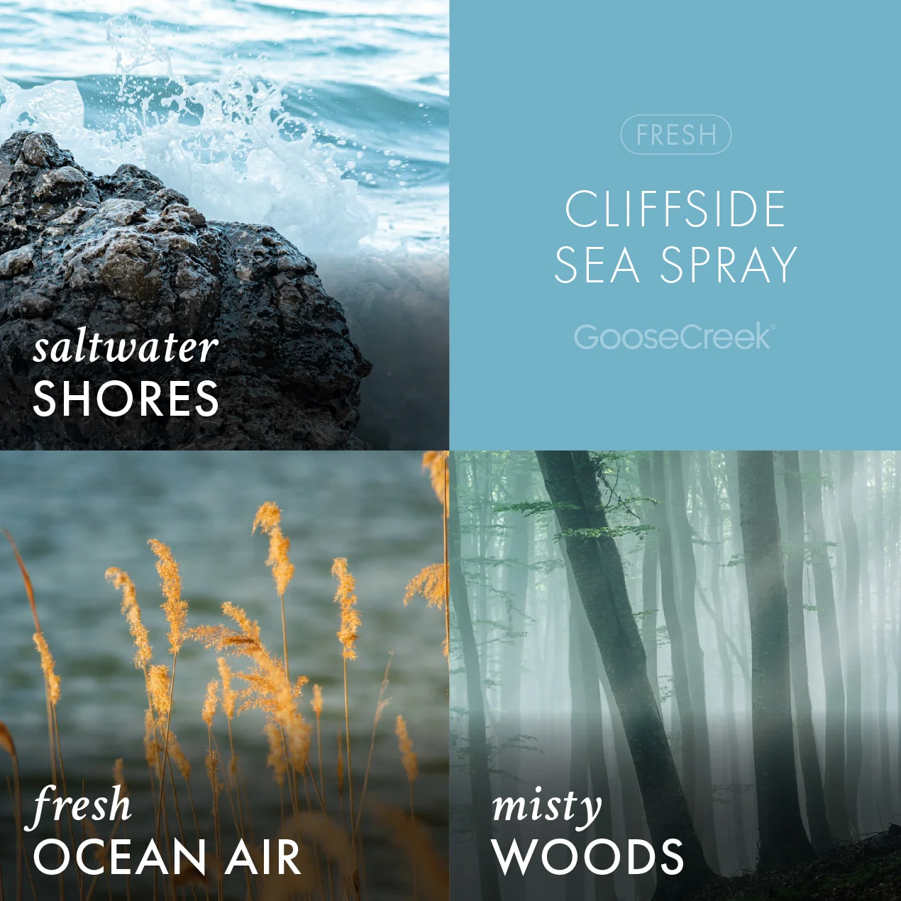 Cliffside Sea Spray Lush Foaming Hand Soap - Image 2