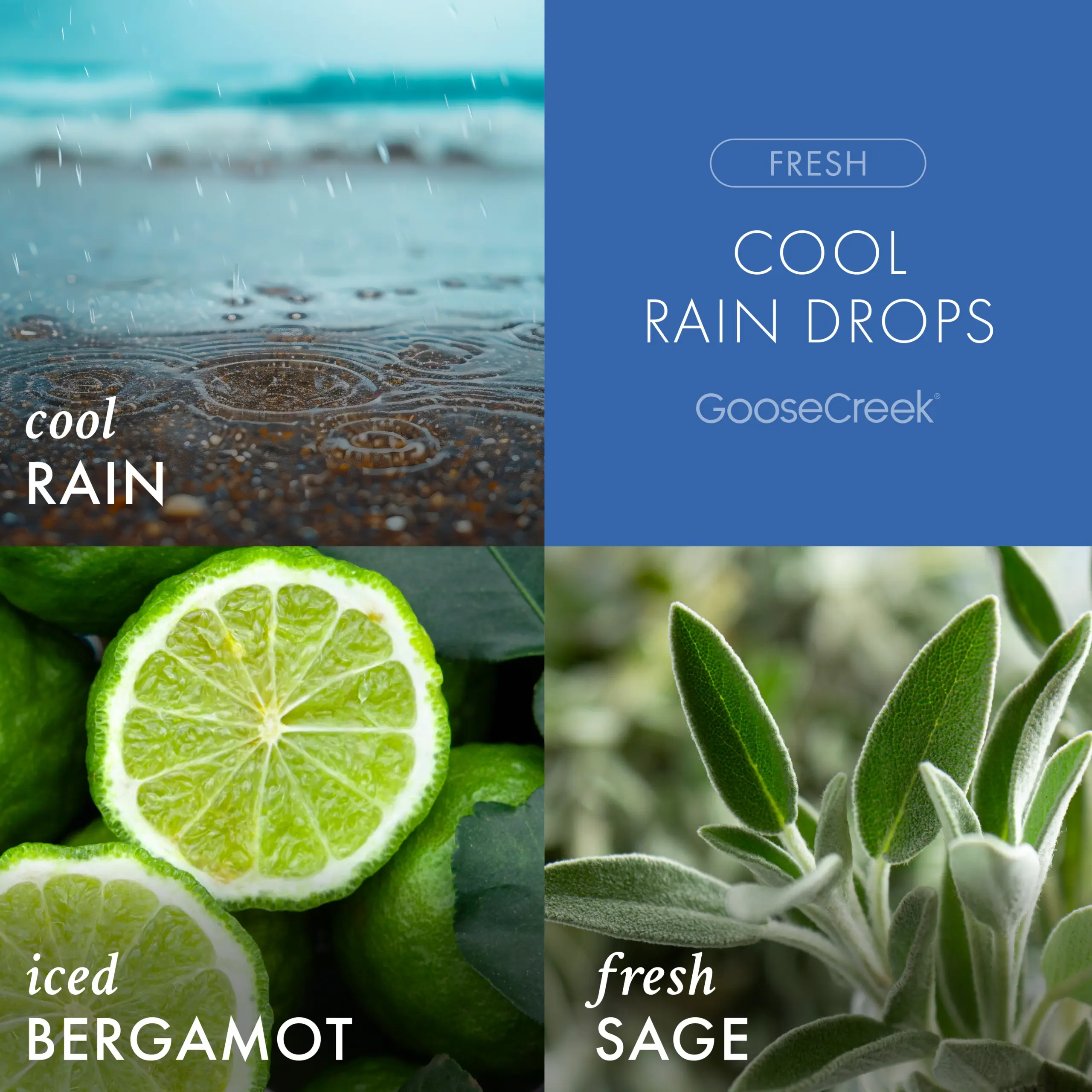 Cool Rain Drops Odor Eliminating 3-Wick Candle - Image 2