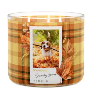 Crunchy Leaves 3-Wick Candle