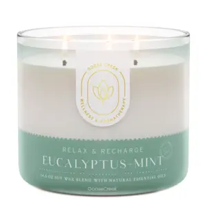 Eucalyptus & Mint Aromatherapy 3-Wick Candle