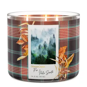 Fir & Palo Santo 3-Wick Candle