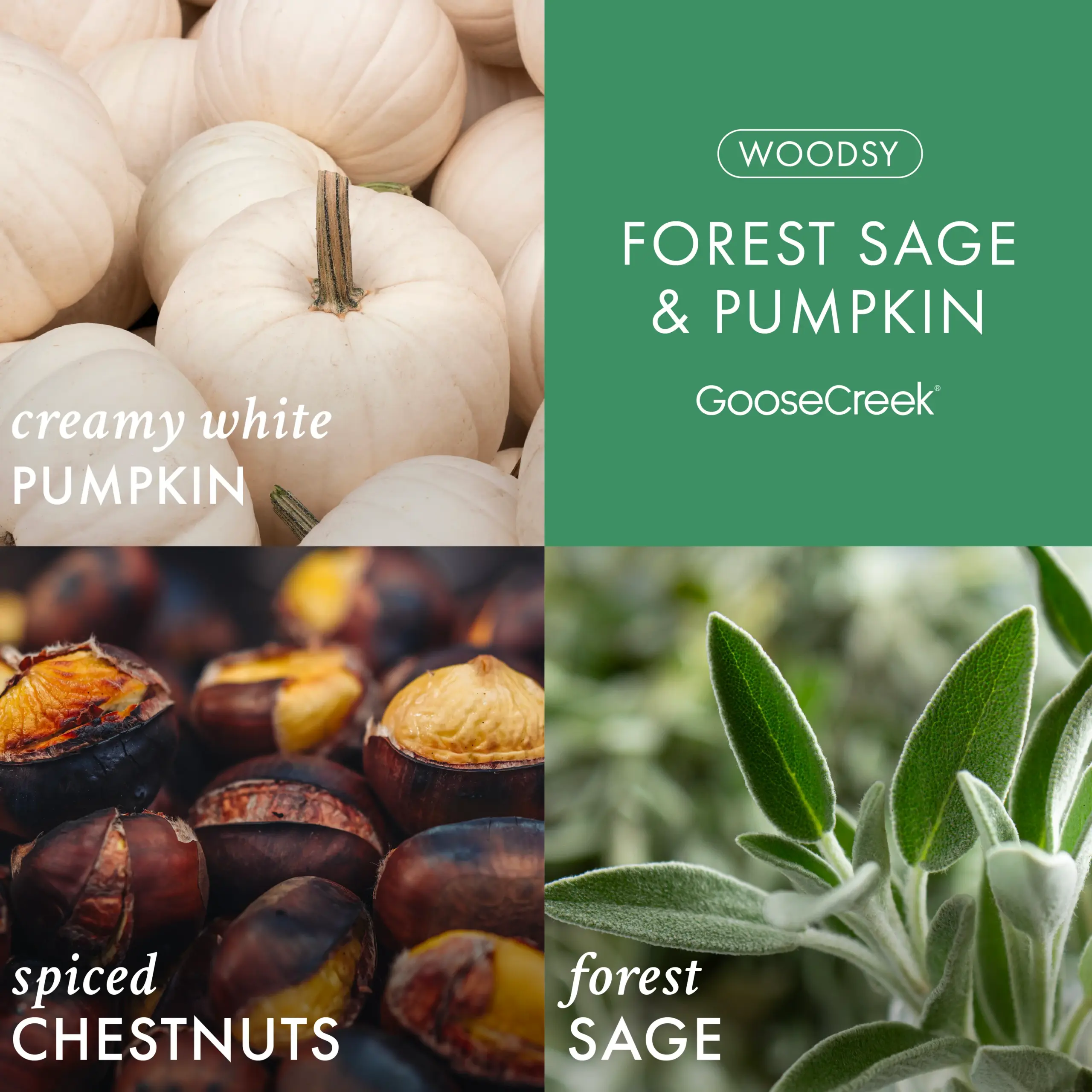 Forest Sage & Pumpkin 3-Wick Candle - Image 2