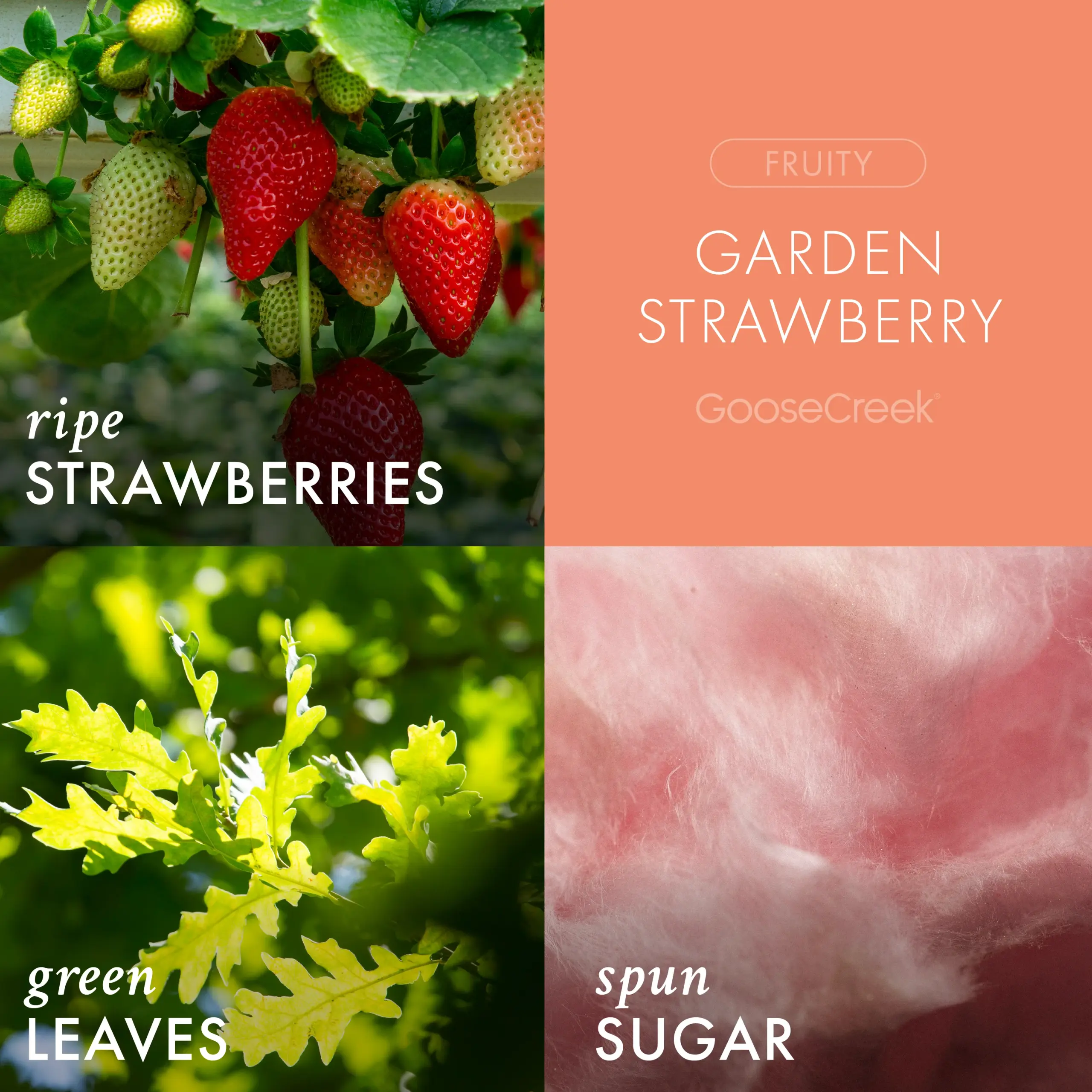 Garden Strawberry Odor Eliminating Room Spray - Image 2