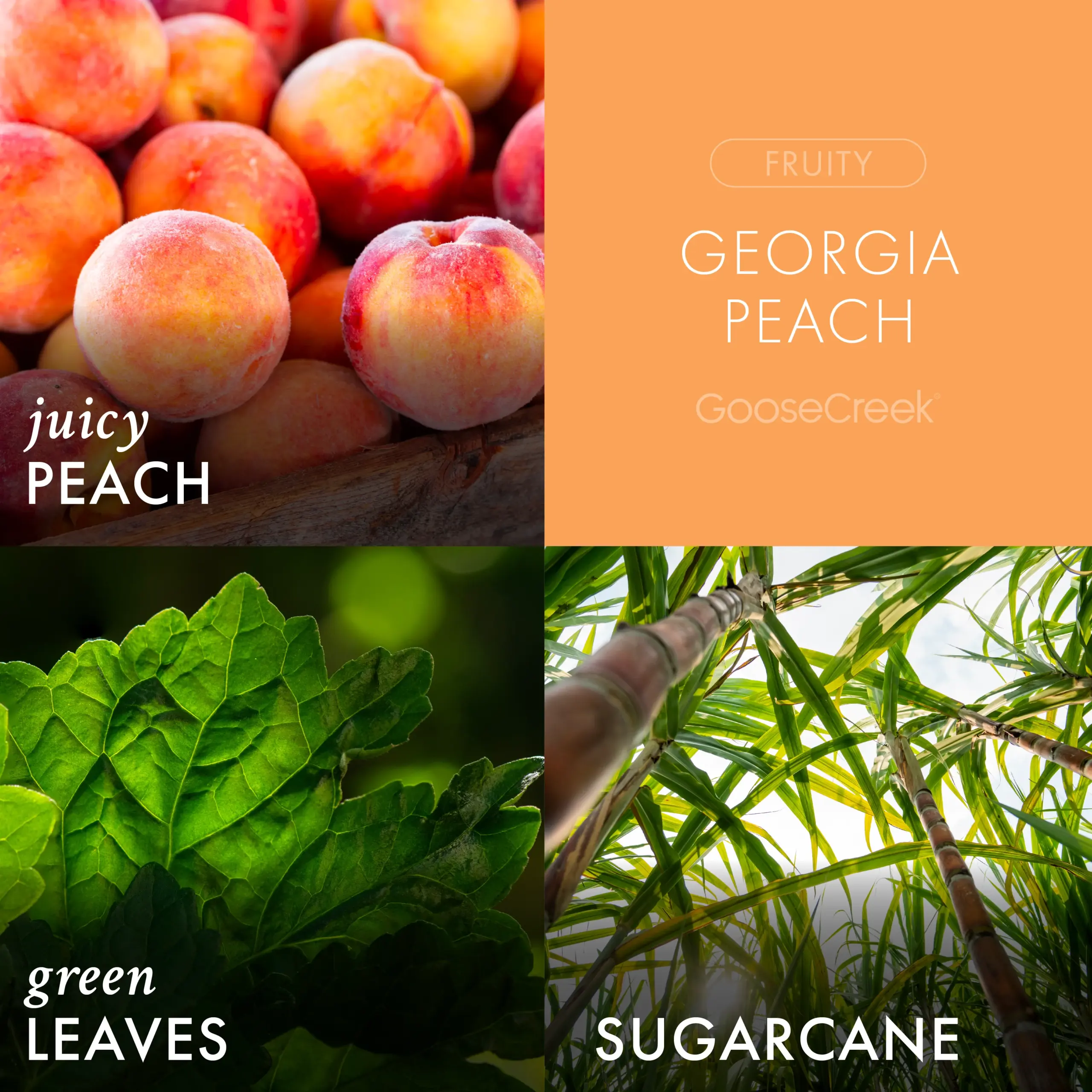 Georgia Peach Plug-in Refill - Image 2