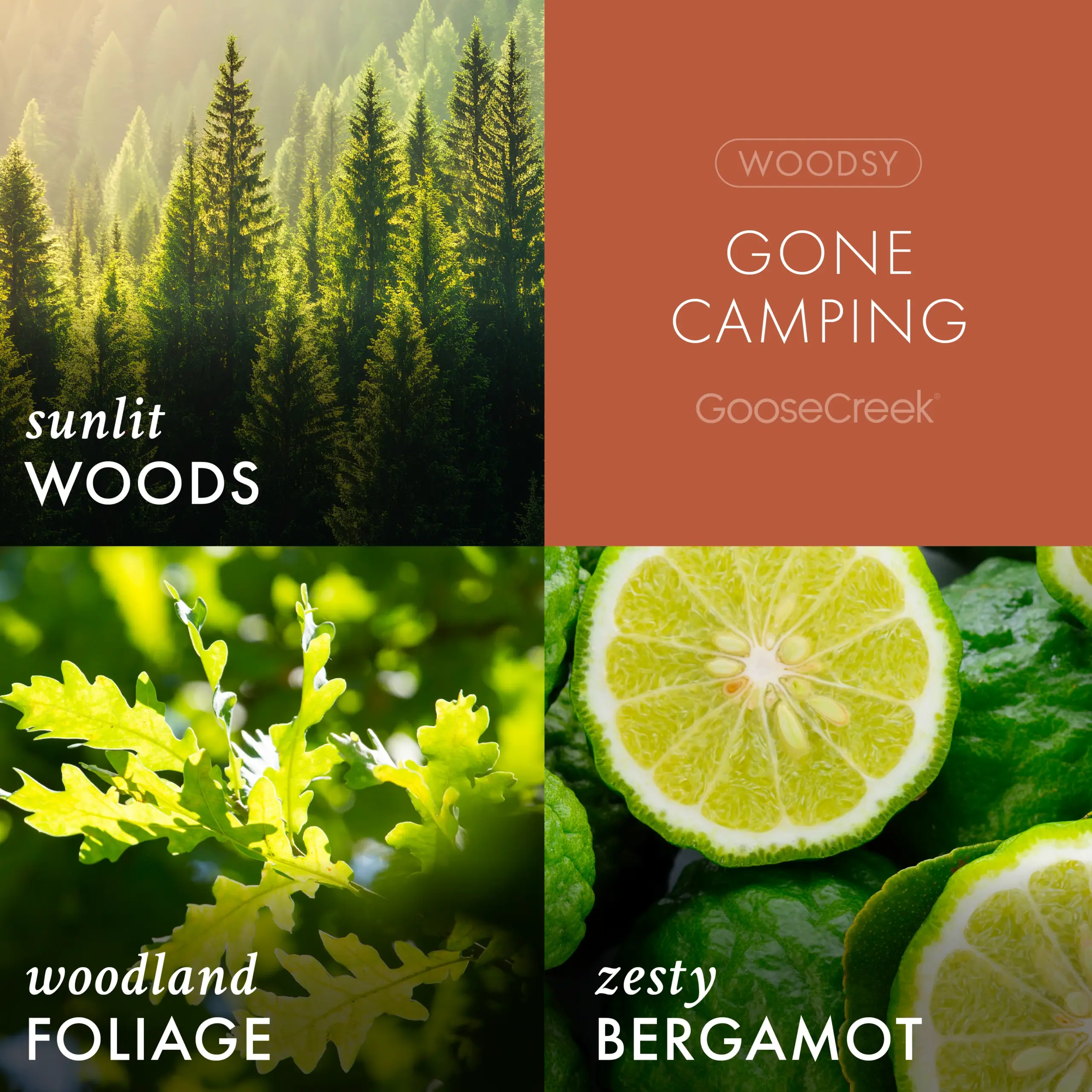 Gone Camping Odor Eliminating Room Spray - Image 2