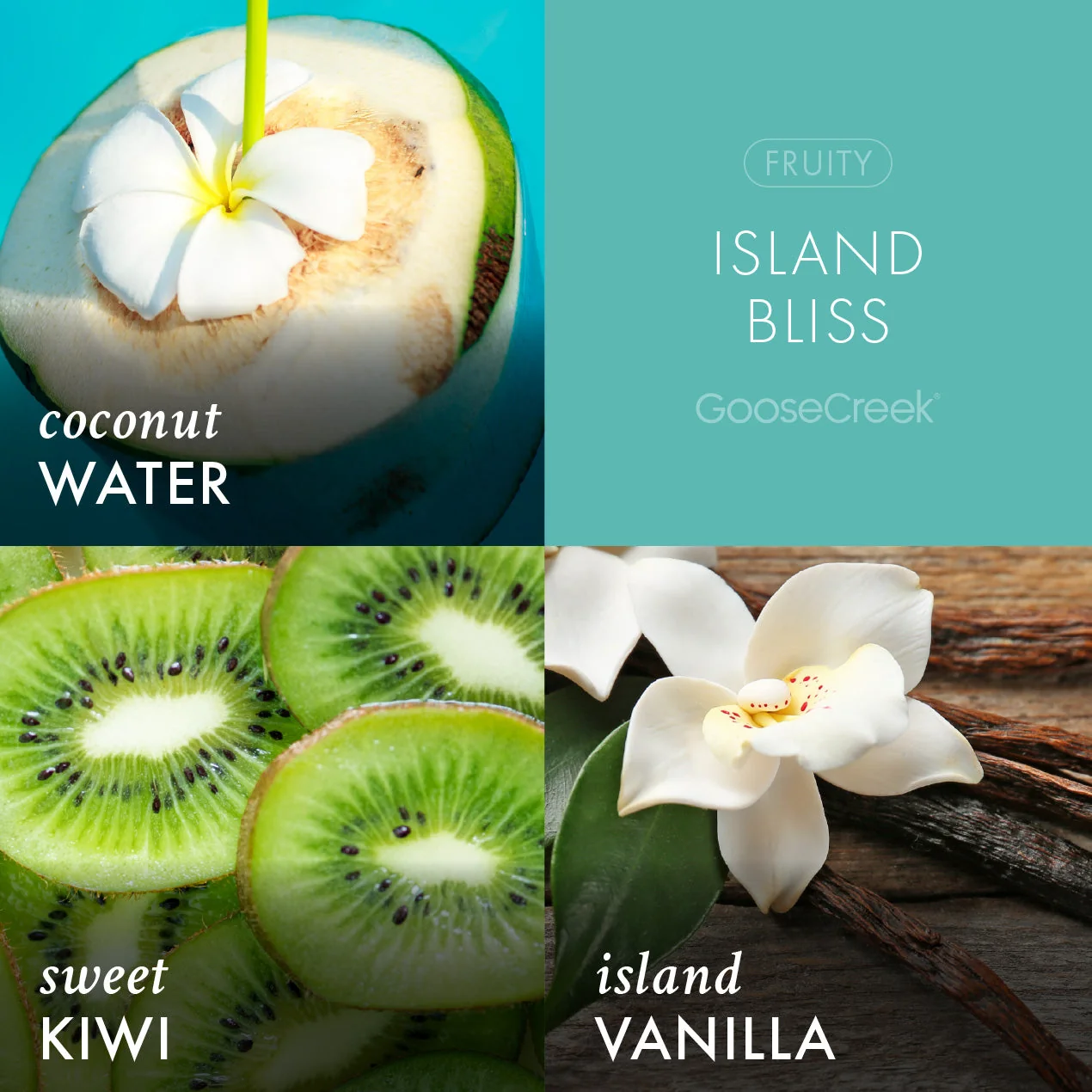 Island Bliss Odor Eliminating Wax Melt - Image 2