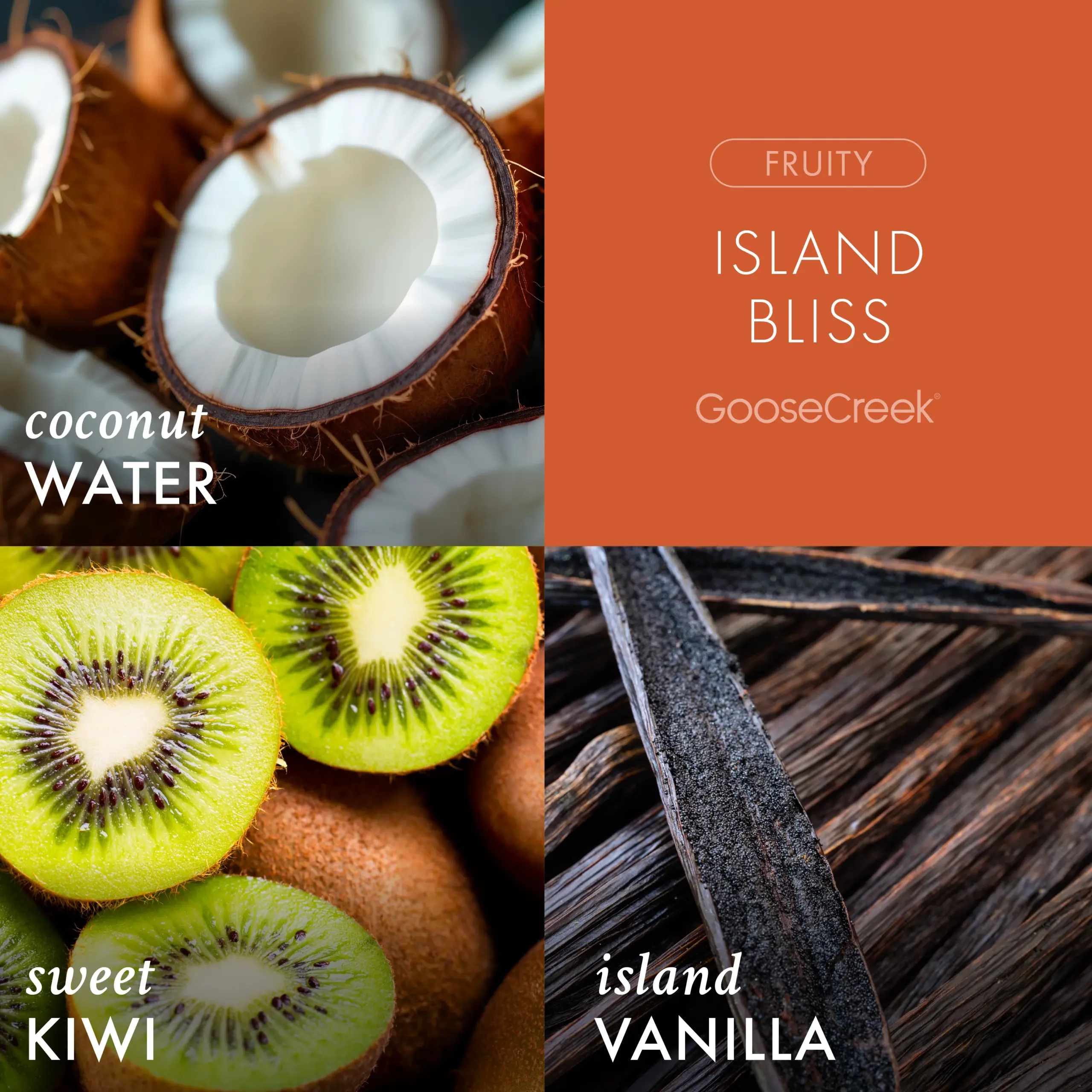 Island Bliss Odor Eliminating Wax Melt - Image 2