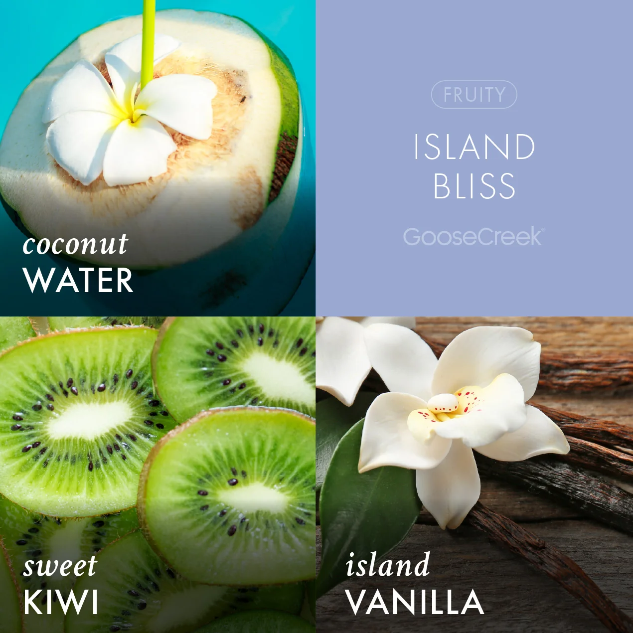 Island Bliss Wax Melt - Image 2