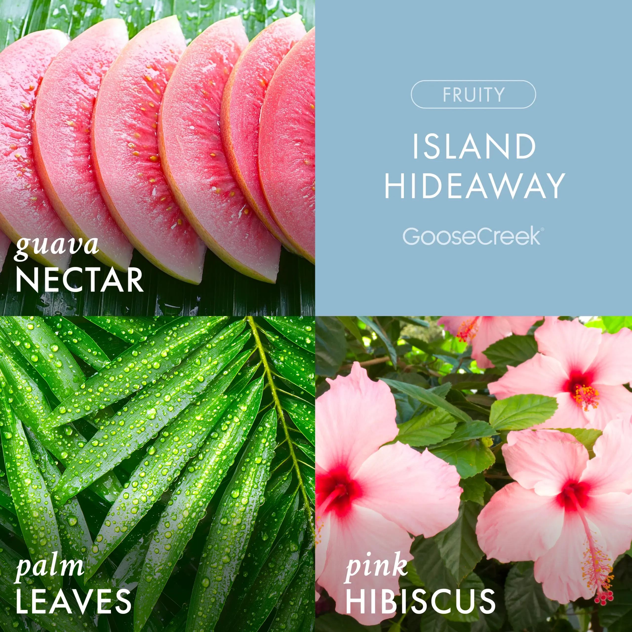 Island Hideaway Plug-in Refill - Image 2