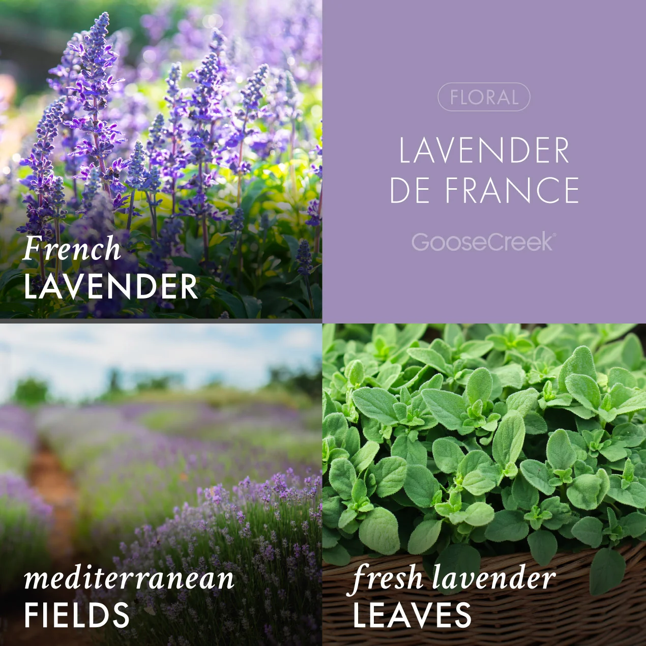 Lavender de France Wax Melt - Image 2
