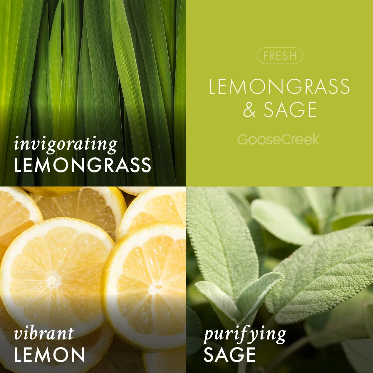 Lemongrass & Sage Aromatherapy 3-Wick Candle - Image 2