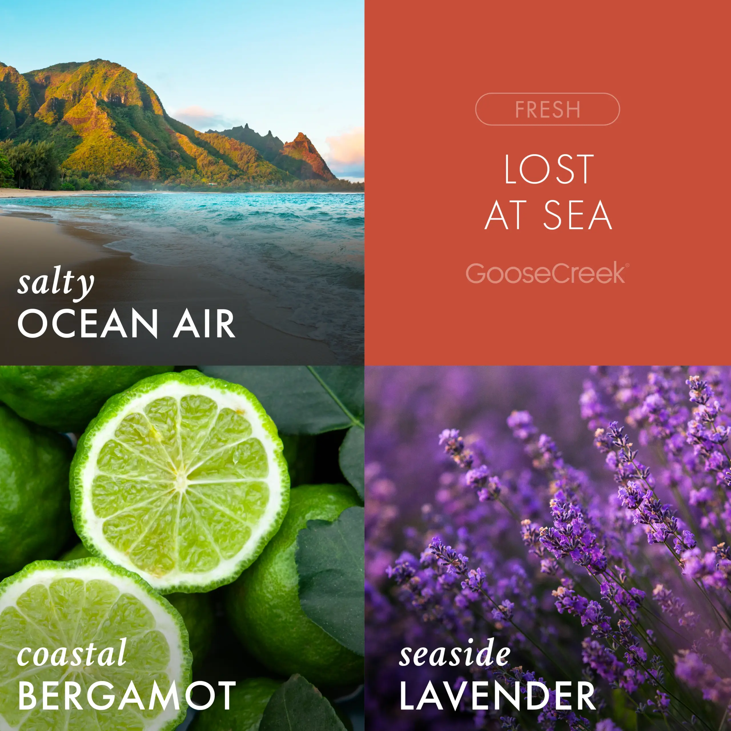 Lost at Sea Odor Eliminating Room Spray - Image 2