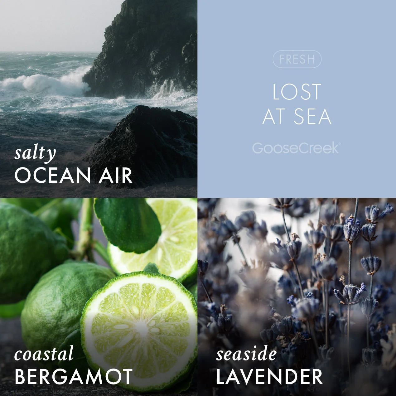 Lost at Sea Odor Eliminating Wax Melt - Image 2