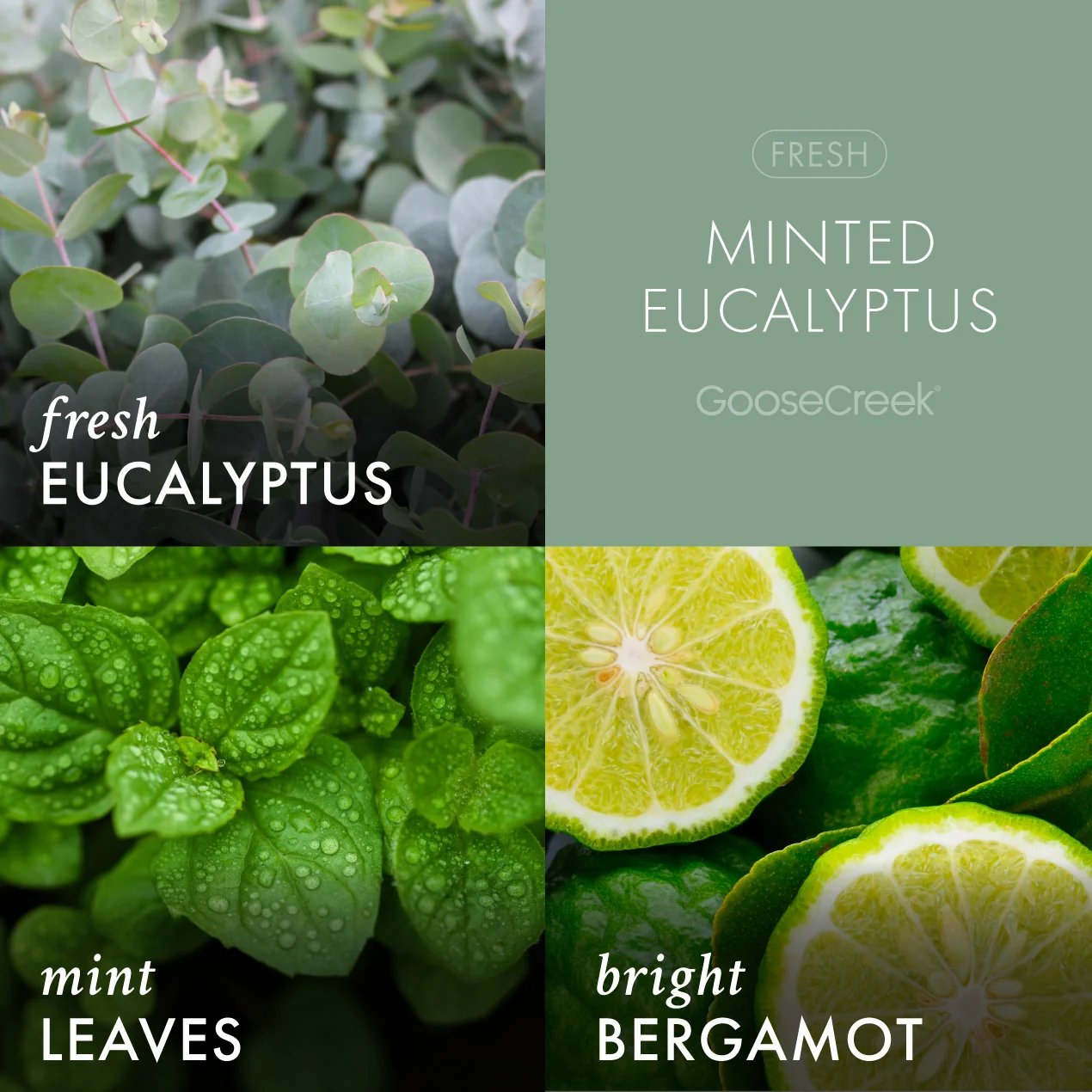 Minted Eucalyptus Wax Melt - Image 2