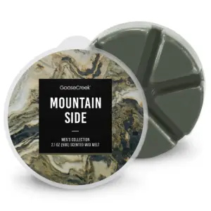 Mountain Side Wax Melt