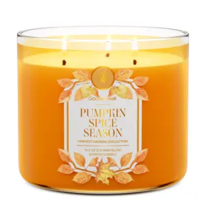 Pumpkin Spice Season 3-Wick Candle