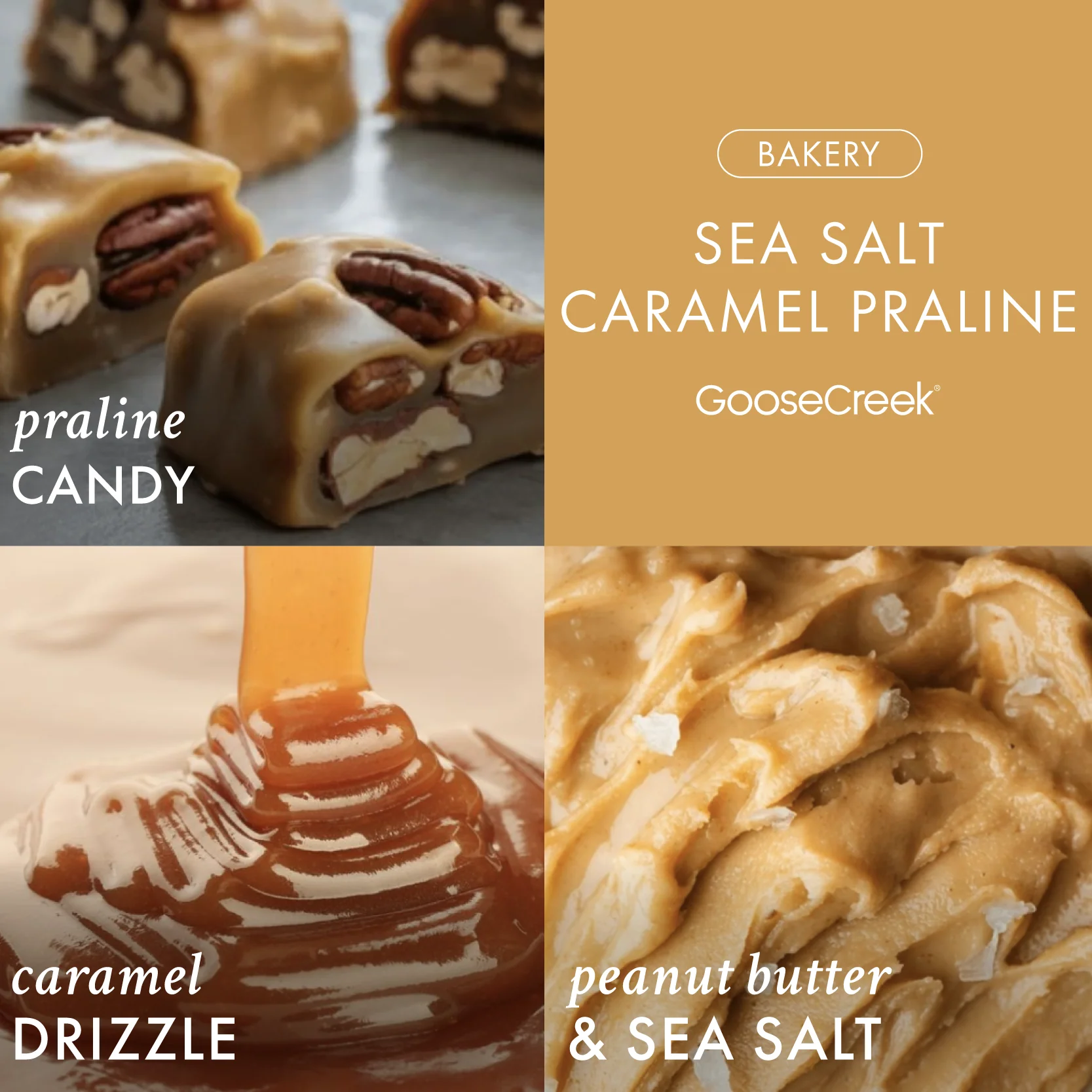 Sea Salt Caramel Praline 3-Wick Candle - Image 2