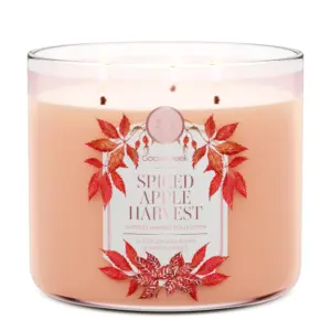 Spiced Apple Harvest 3-Wick Candle