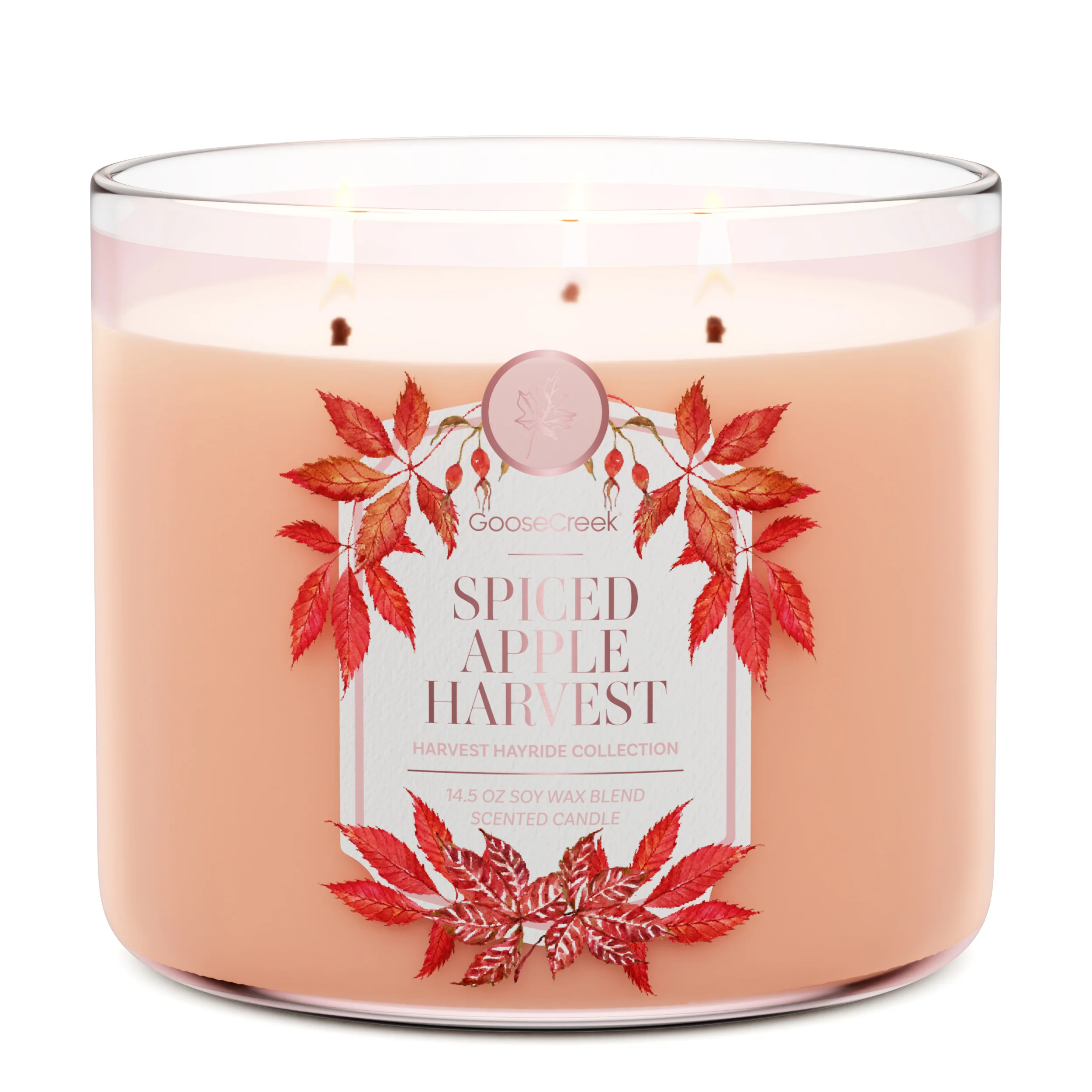 Spiced Apple Harvest 3-Wick Candle