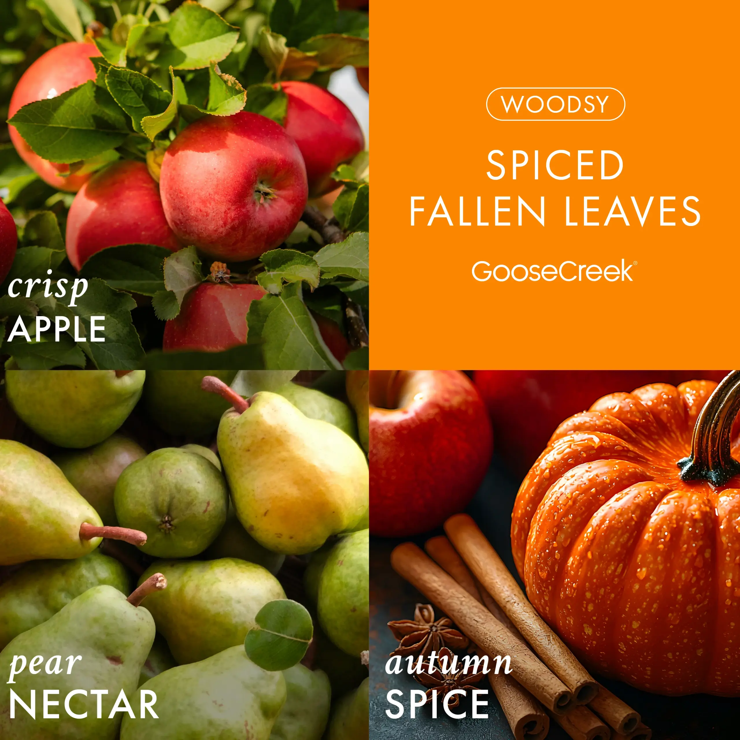 Spiced Fallen Leaves 3-Wick Candle - Image 2
