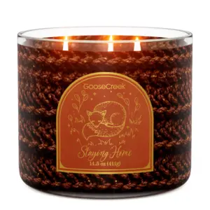 Staying Home 3-Wick Candle
