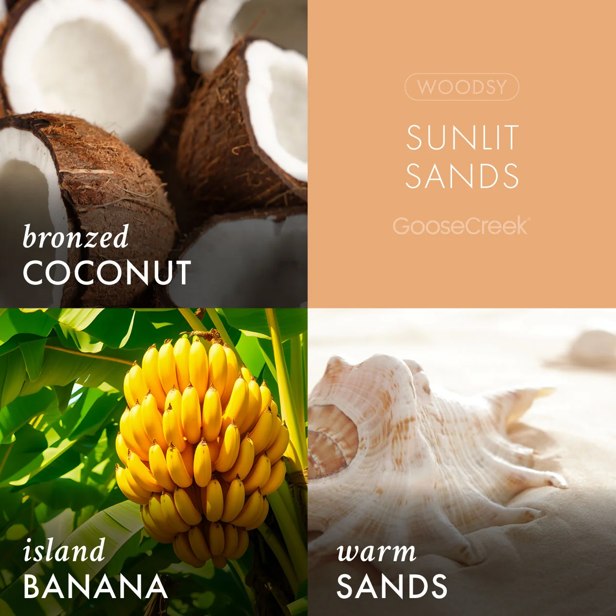 Sunlit Sands Lush Foaming Hand Soap - Image 3