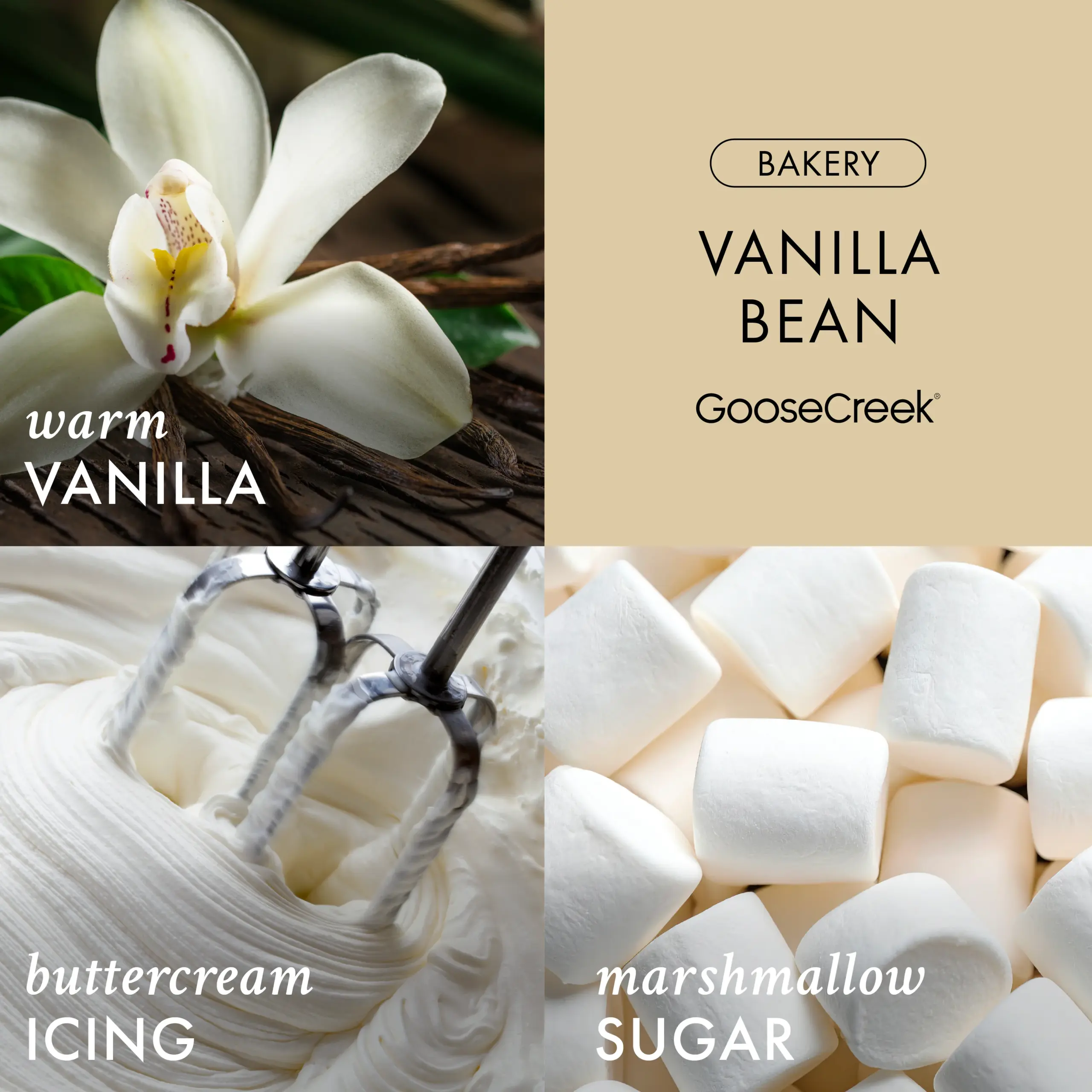 Vanilla Bean 3-Wick Candle - Image 2