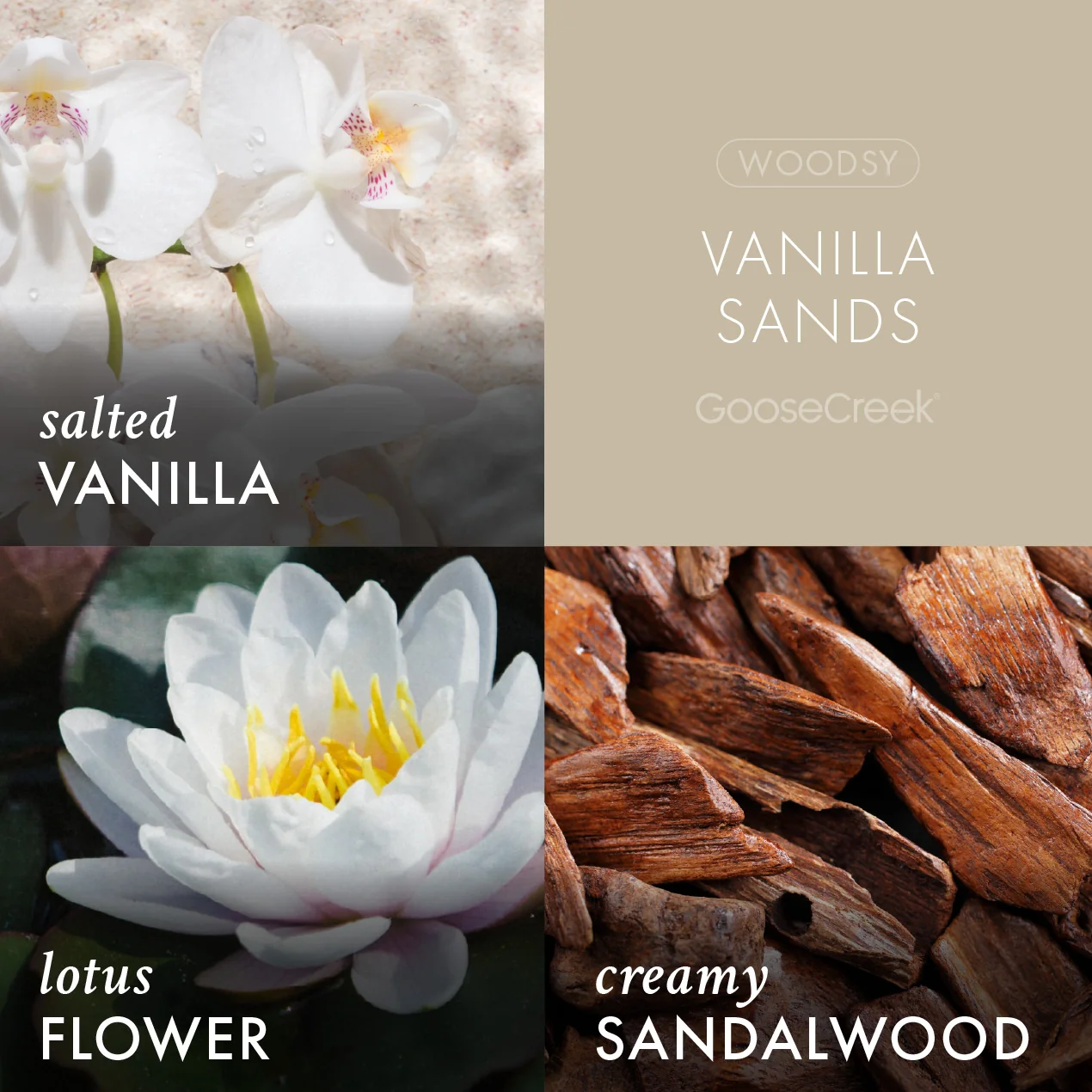 Vanilla Sands Wax Melt - Image 2