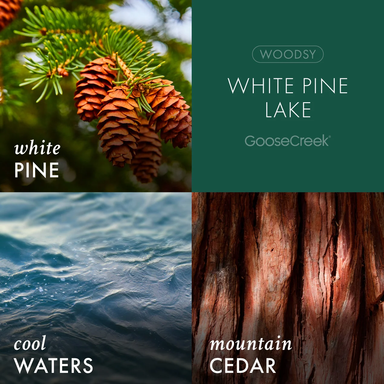 White Pine Lake Plug-in Refill - Image 2