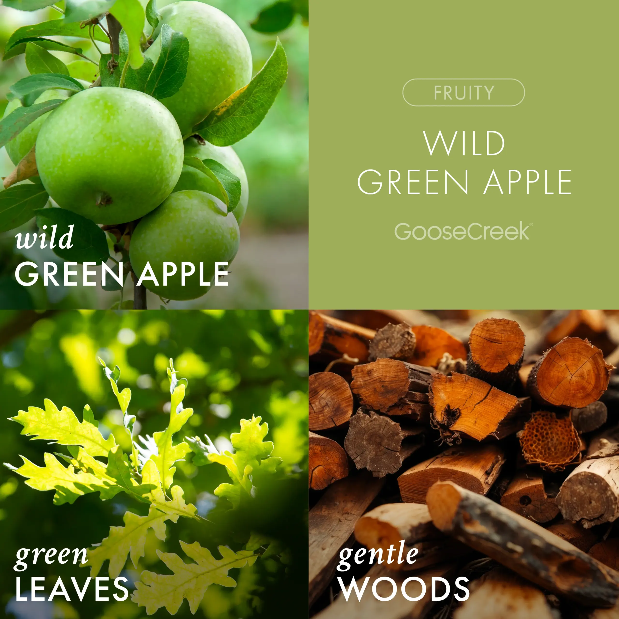 Wild Green Apple Odor Eliminating 7oz Single Wick Candle - Image 2