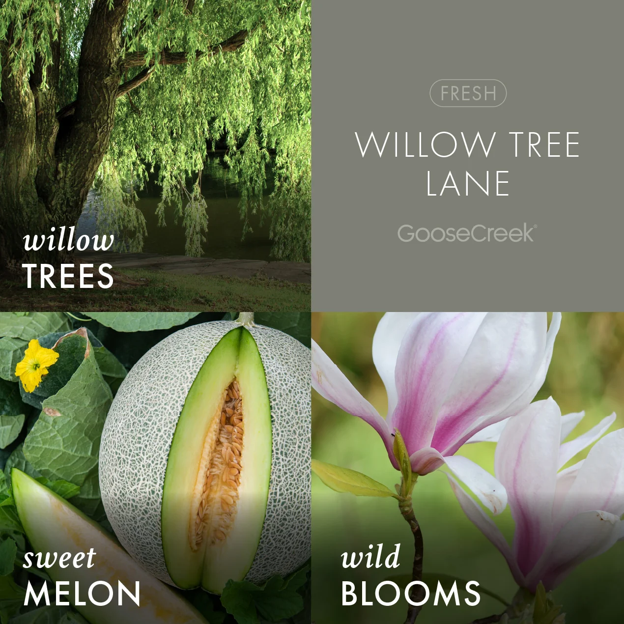 Willow Tree Lane Wax Melt - Image 2